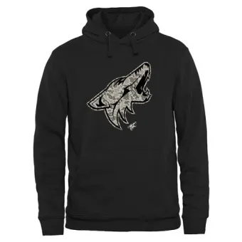 Men's Arizona Coyotes Rink Warrior Pullover Hoodie - Black