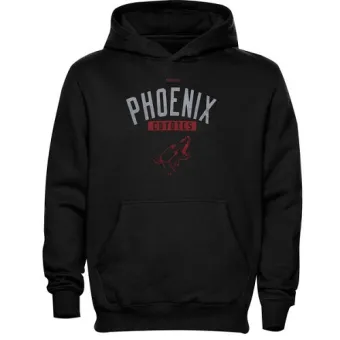 Youth Arizona Coyotes Men's Phoenix Acquisition Fleece Pullover Hoodie - - Black